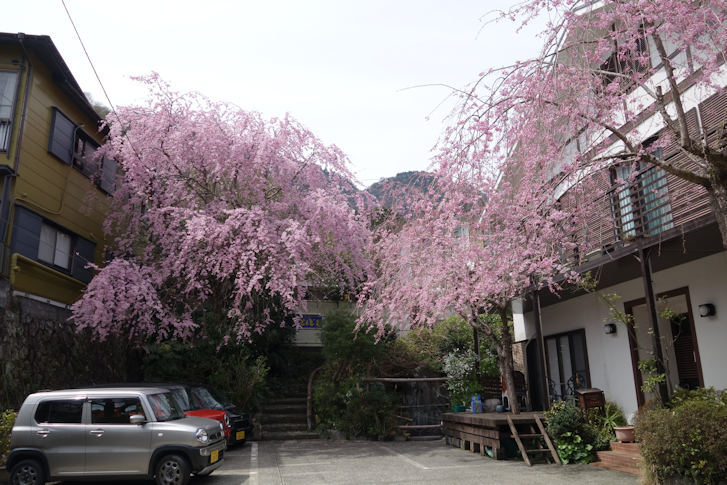 箱根大平台あすか - 箱根観光情報/大平台 [アクアディーナ]