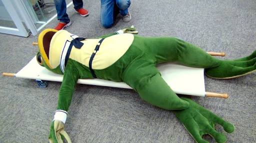 だらだらするチワワ 謎のフォーメーションチョコタンチワワブラックタンチワワチワワ多頭飼いチワワのいる暮らしチワワ部チワワ好きな人と繋がりたいだらだらしたい