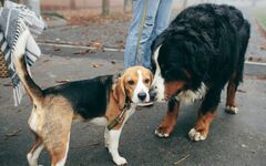 オーランド・ブルームの元妻ミランダ・カーと現恋人ケイティ・ペリーが久々の2ショットを披露