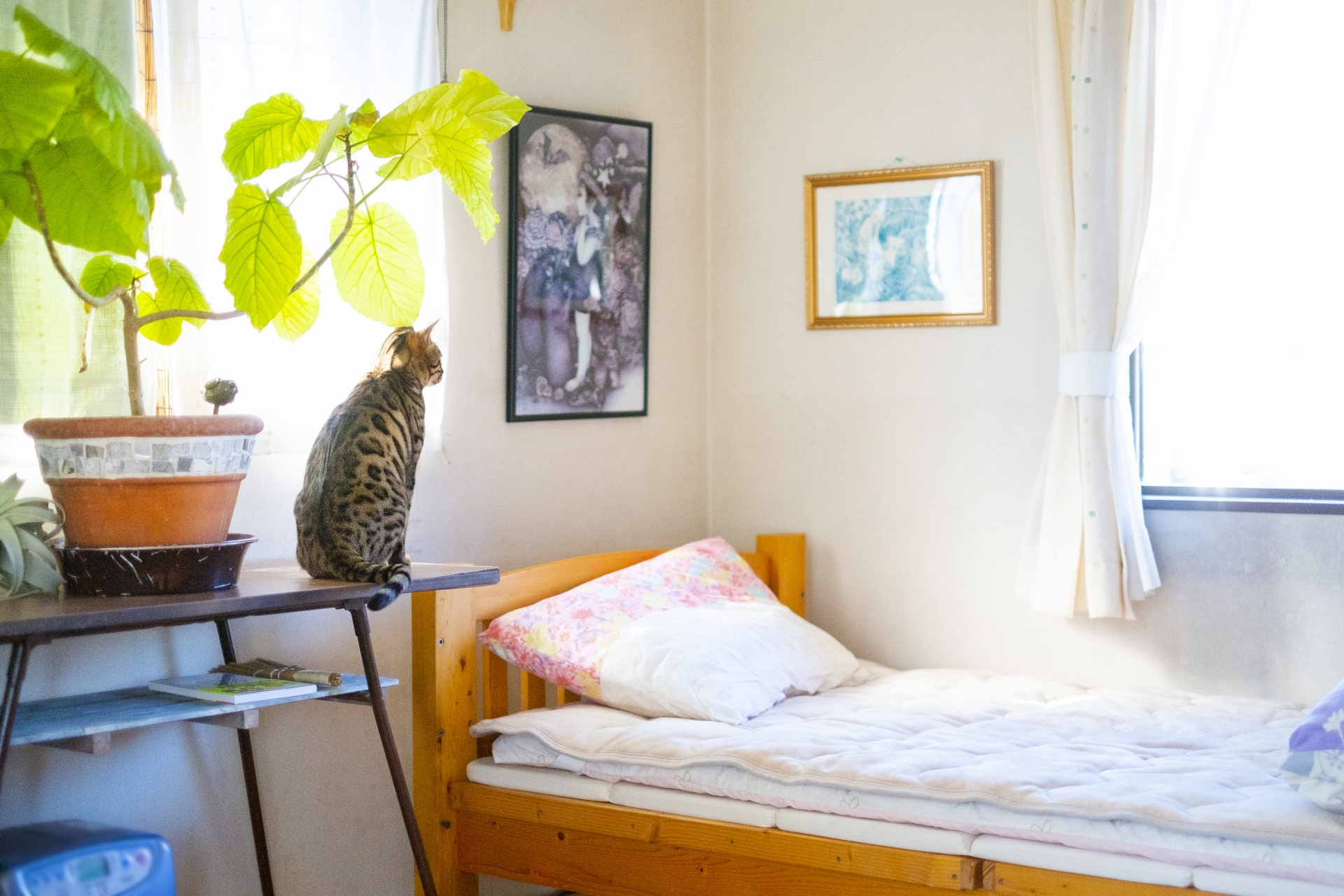 中学生女の子部屋のインテリア実例RoomClip ルームクリップ