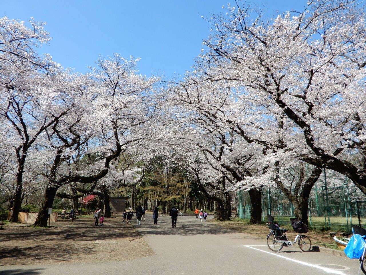 午前中、石神井公園駅南口西地区再開発に関わる解体説明会に参加。100名近くの参加者の方。質疑応答では工事の際の工事車両、完成後のビル風や日照について多くの意見が。事業者や組合だけでなく、事業に強くかかわっている練馬区も参加して改めて住民への説明を行うべき  