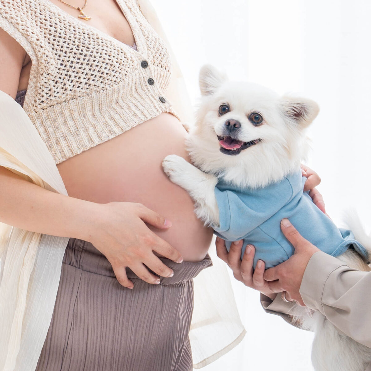 東京でペット同伴で安く撮れるフォトスタジオですブログ東京のフォトスタジオならフォトスタジオ タンタン
