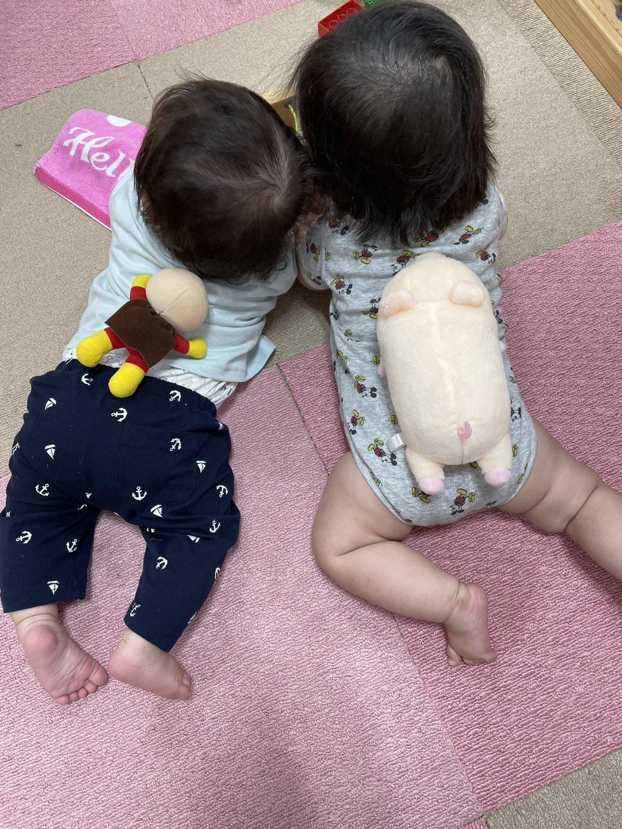 ハイハイする赤ちゃんの後ろ姿生後4か月の日本人 の Stock フォトAdobe Stock