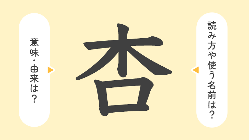 杏」がつく外国風や可愛い女の子の名前 漢字の意味や由来と注意点 赤ちゃんの名づけお役だち情報