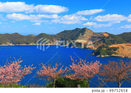 写真の撮り方も要チェック！一足早く春を感じられる河津桜のおすすめスポット - Tripa トリパ 旅のプロがお届けする旅行に役立つ情報