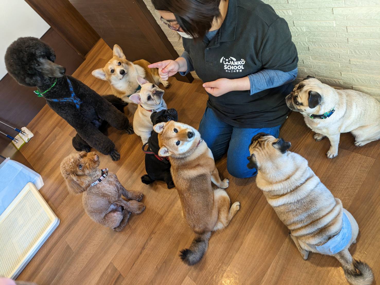 フリー素材、学校
