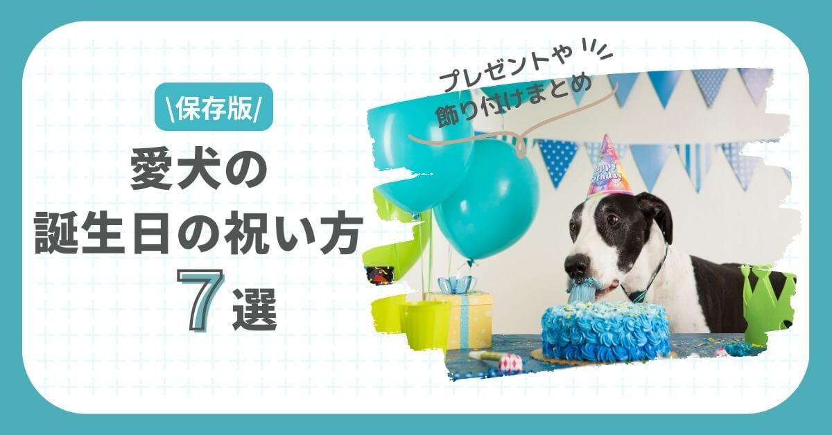 愛犬の誕生日プレゼント大型犬向け丈夫で安全なギフト15選Amazon・楽天で買える – うちの子グッズ Qoo