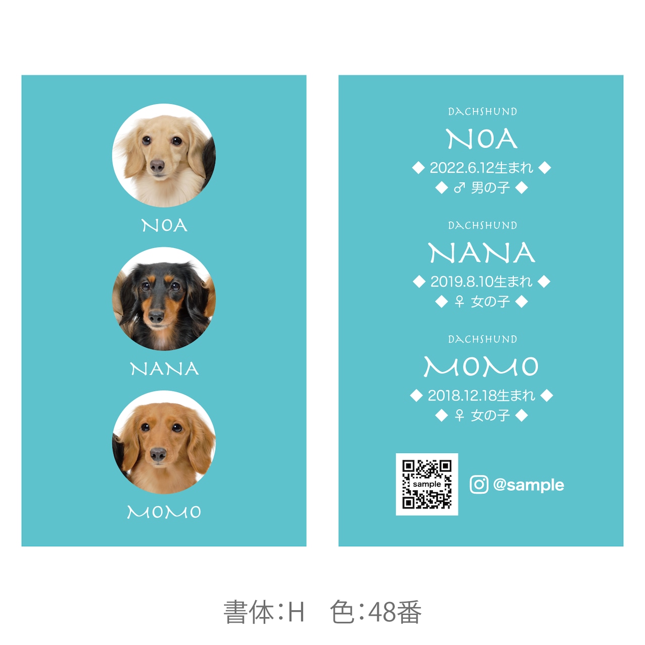 ペット名刺の制作実例犬 多頭飼い の両面ペット名刺w_rec0098