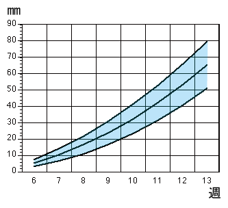 おやすみたまごBIG