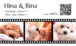 多頭飼い用ペット名刺はどう作る?名刺づくりのポイントを解説デザイン名刺.net