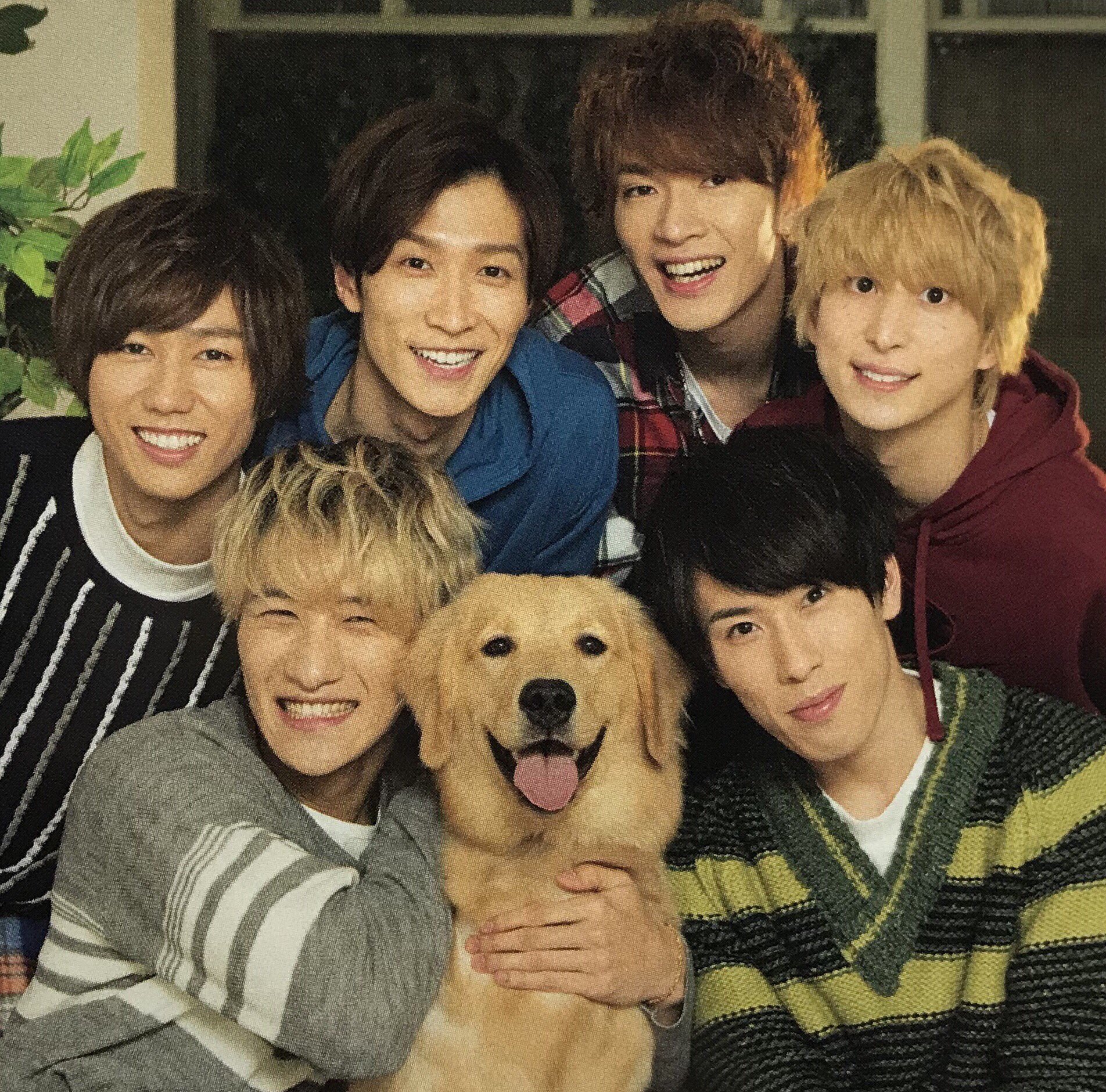 犬と犬しょっぴーしょぴぐらむ