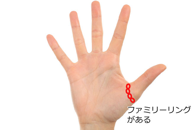 手相の見方を徹底解説手相の基本7線、あったら幸運な神手相11選！ - 大串ノリコの紫微斗数と姓名判断