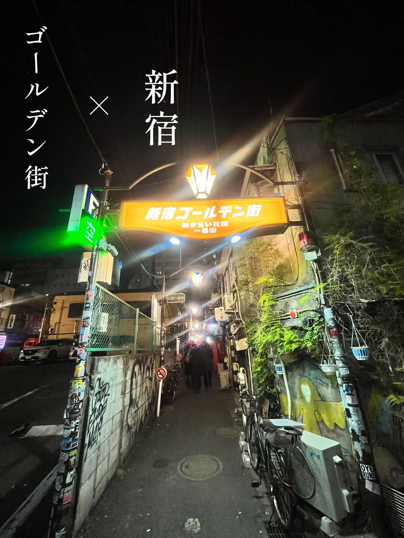 12月最新】学芸大学駅（東京都） セラピストの求人・転職・募集│リジョブ