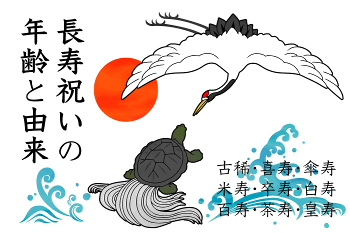 喜寿 ７７歳 祝 紫 扇子 扇 縁起物イラスト