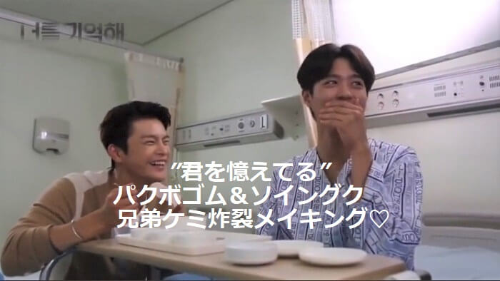 宇宙兄弟』の愛犬パグ「アポ APO 」が「甘噛みハムハム」になって発売！著者のアポ愛とこだわりを反映 - ロボスタ