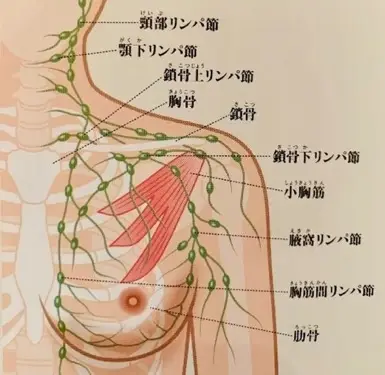 ＼ バストアップしたいならこれ✨／, 韓国最先端マシン