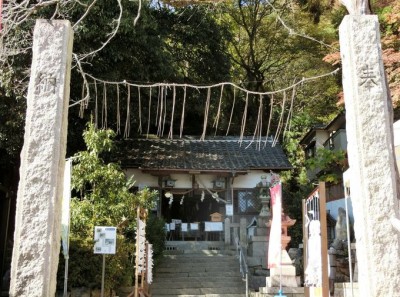 本当に効く縁結び神社 願いが叶った！ー東京都内の6神社、23人の体験談みしま縁結び