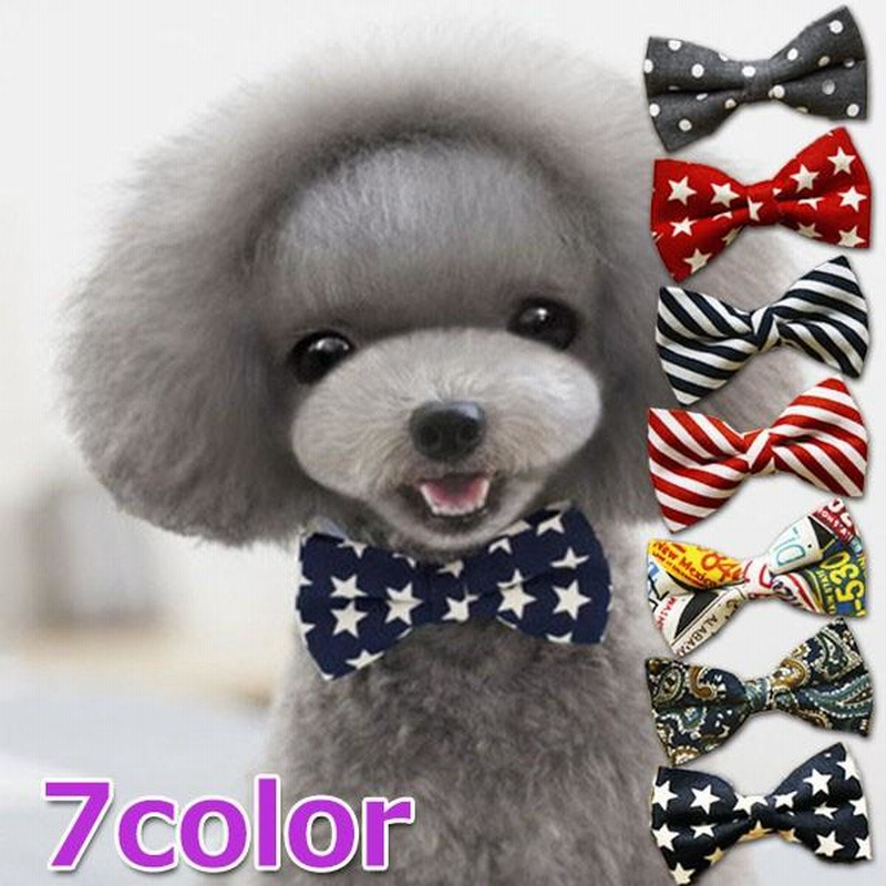 Qoo10激安販売 ペット スーツセット 蝶ネク