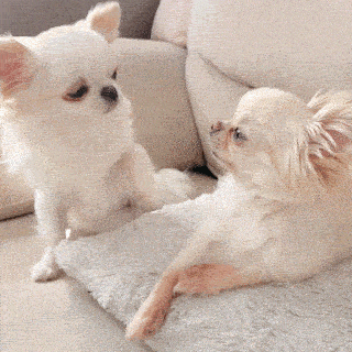 冬瓜とこんにゃくが入った、ひき肉とろみ煮