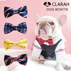 パーティーカラー蝶ネクタイ付き付け襟