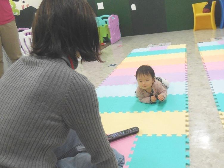 いっしょにハイハイビー: おもちゃ DADWAY ダッドウェイオンラインストア