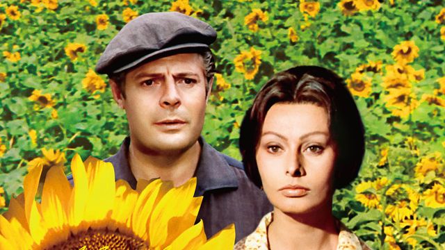 勝生真沙子のプロフィール・画像・写真WEBザテレビジョン