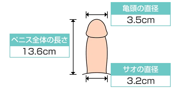 短小包茎とは！短小は何センチから？日本人の平均サイズや治療法 - アトムクリニック -