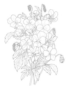 春の塗り絵『笑顔の花たち』 子供向け図柄の無料ダウンロード - 印刷・商用利用可無料プリントのスタプリ