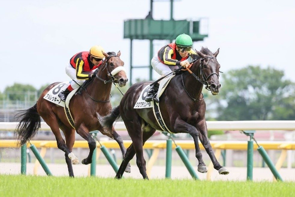 札幌２歳Ｓ】札幌デビュー組に「負のデータ」 ならば狙うは“東京組”の１頭 | 競馬専門紙「優馬」