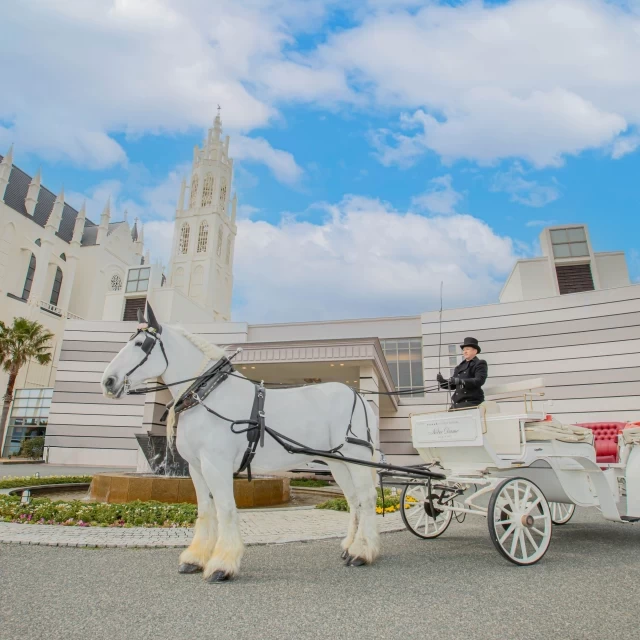 リアル白馬の王子様！オリジナルウエディングが叶うノーザンホースパークが営業スタート