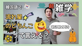 ケブル（ユムシ）韓国]直訳すると｢犬のちんちん｣を食べてみた - 世界新聞