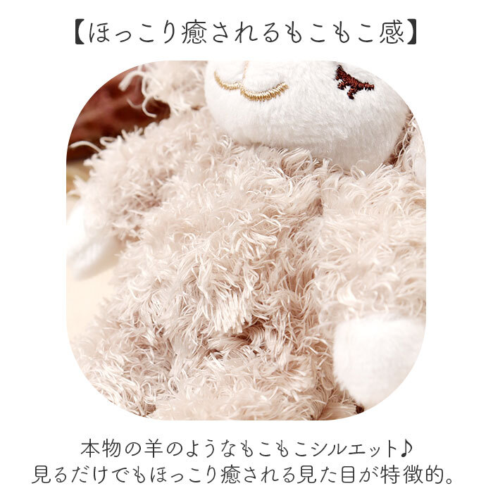 TOP5 モテる男子大学生の特徴は？現役女子大生50人に聞いてみたまなたび