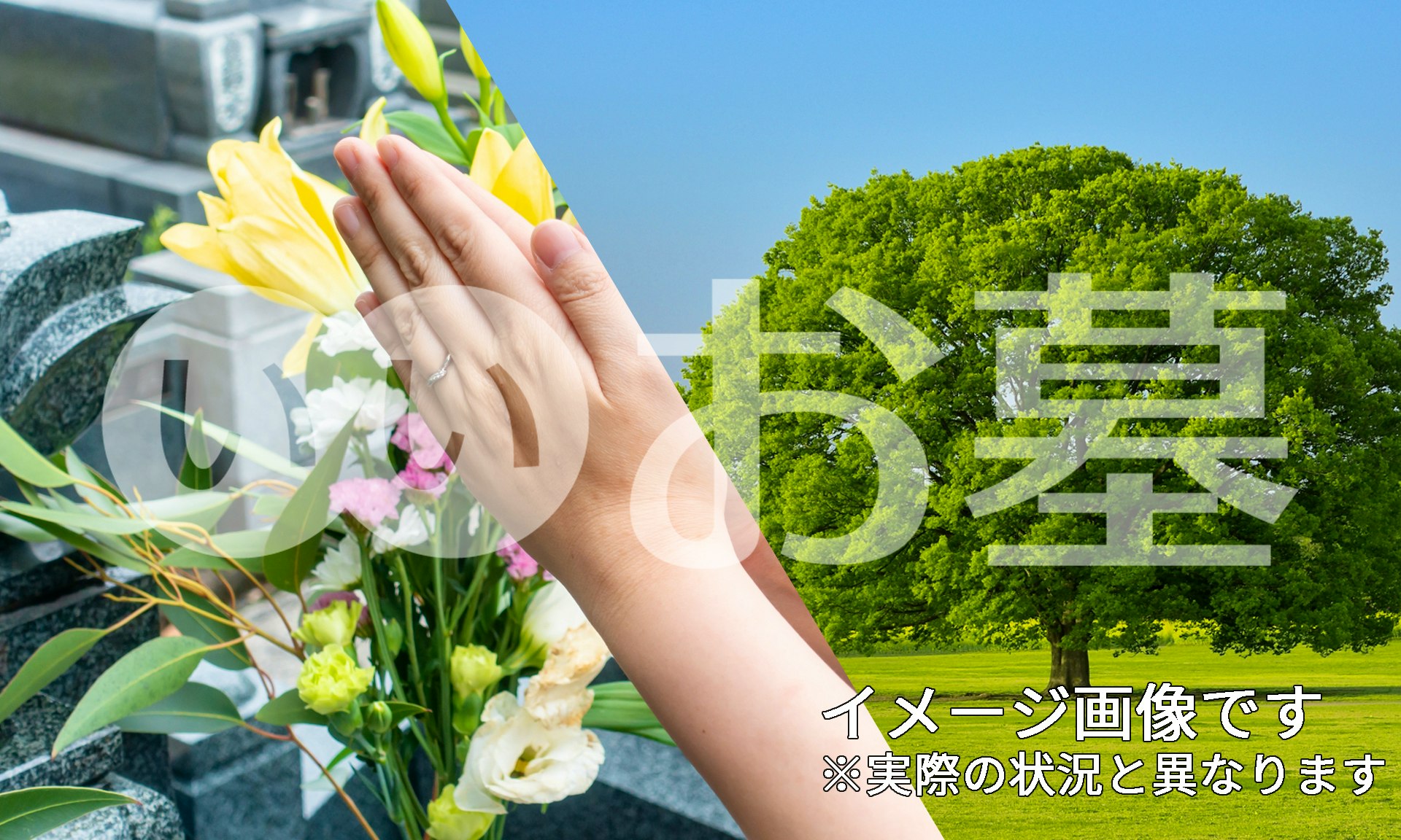 緑色の光が見えるときのスピリチュアルな3つの意味とは？ホギホギ