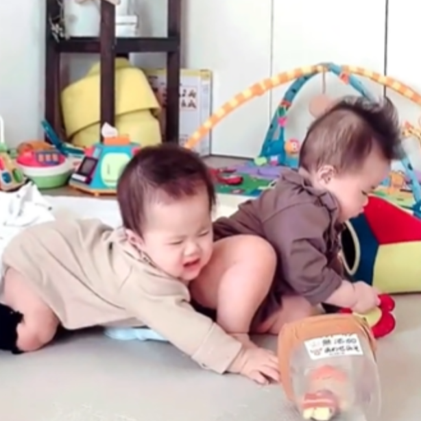 ゆかいな双子ちゃん、大騒ぎ 笑あかちゃん動画