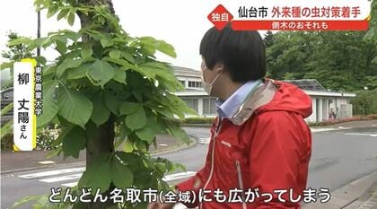 魂』感想・レビュー - 読書メータ