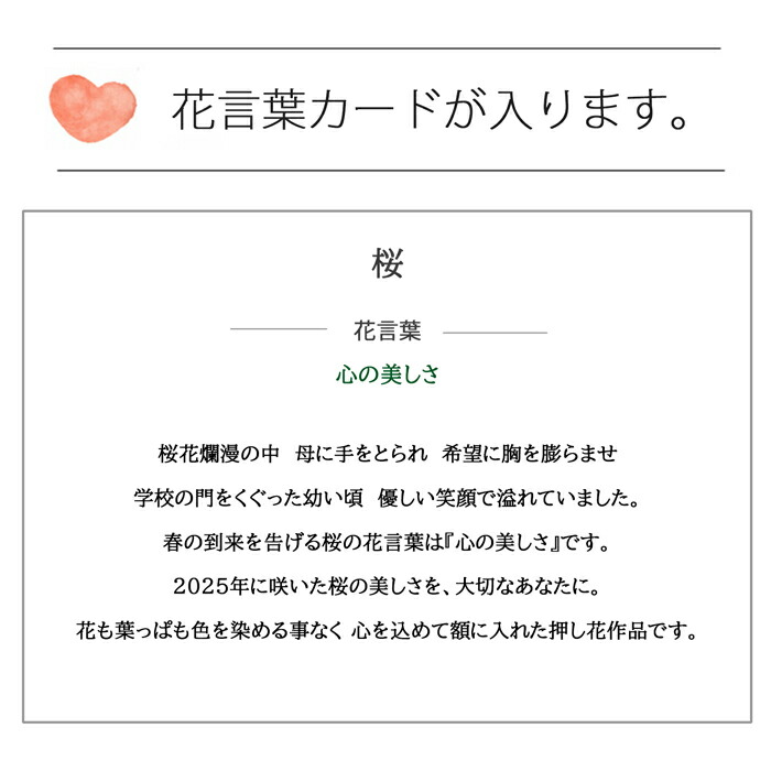 感動の「２０年分のバースデーカード 」誕生日プレゼントの Present Cube
