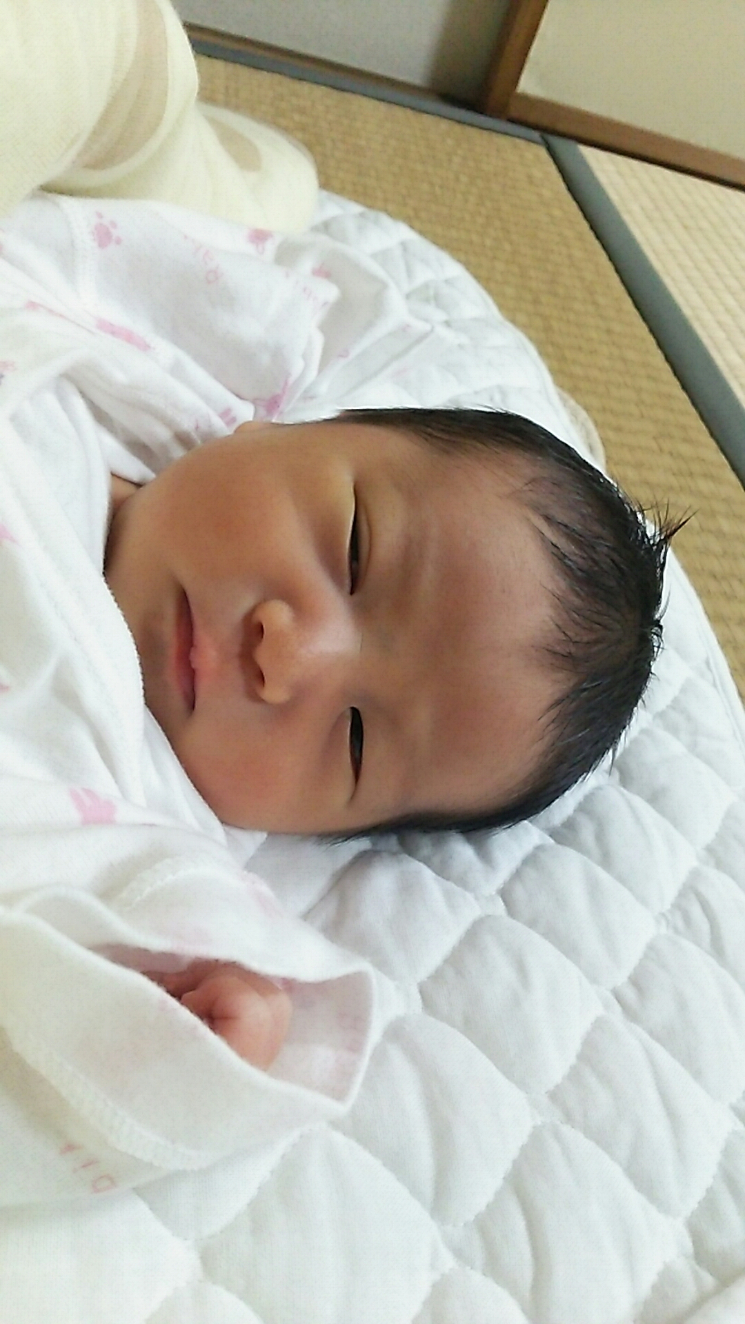 Techガールのアメリカ生活 on X: 