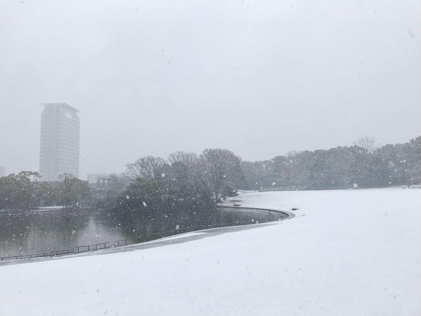 ◇多摩市の雪 -