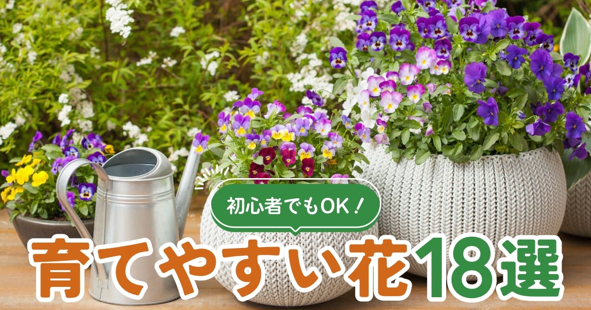 一人暮らしで実践したい、花と植物のある暮らし初心者スタートガイド飾る