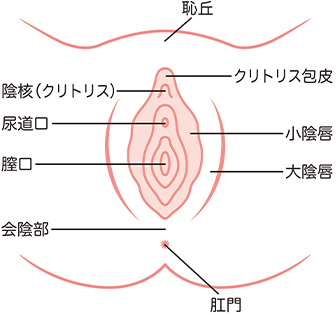 クリトリス包茎 | みやざき美容クリニック