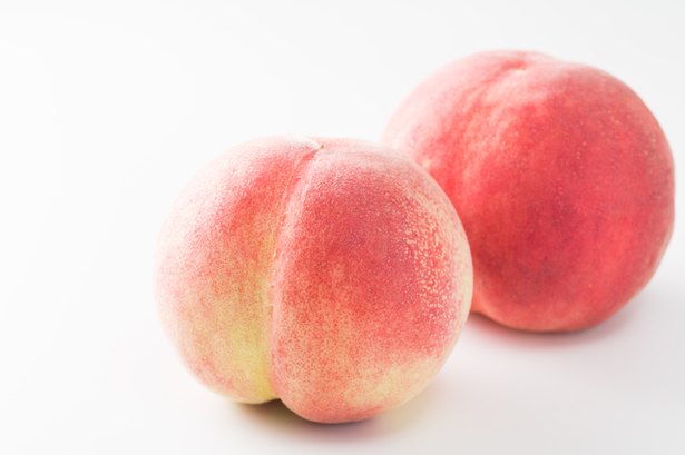 🐕☘️ * We can wait till Mama says ‘go ahead and eat’, but not Momotaro 🐢but it’s ok!, 私達はもちろん待てるよ、ママが「どうぞ」って言ってくれるまで。でも桃太郎は無理みたいいいの、いいの、気にしない！,・, ・, 🍽️ @petcubes.hk 😋, ・, ・,9gagcutedogshiba