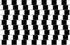 Illusion Forum イリュージョンフォーラム 錯視 だまし絵 婦人と老婆