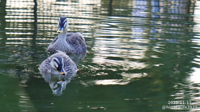 微笑ましいカップル♡uweeeeeiのブログ