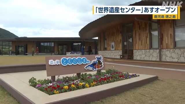 【きょうの1日】「台風6号」鹿児島は暴風域…信号機が折れる被害　宮崎では冠水も