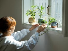 緑を育てるおしゃれな暮らし 初めての観葉植物に選びたい！ 育てやすい＆おすすめBest７GardenStoryガーデンストーリー
