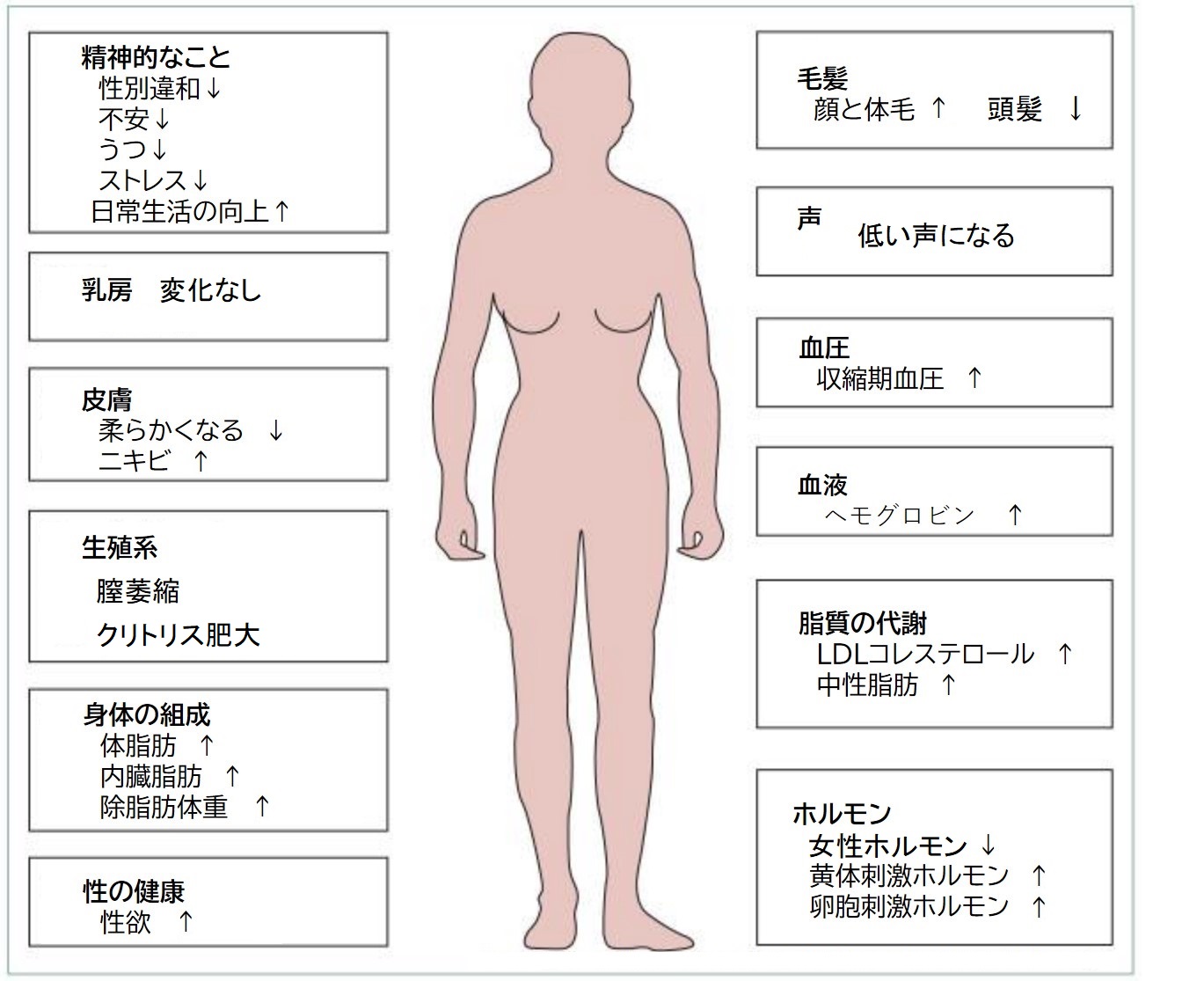 クリトリス包茎術 | 恵比寿ウエストヒルズクリニック 皮膚科・形成外科・美容皮膚科・美容外科