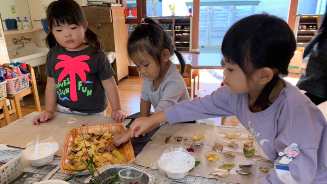 秋を感じて - 鞠生幼稚園