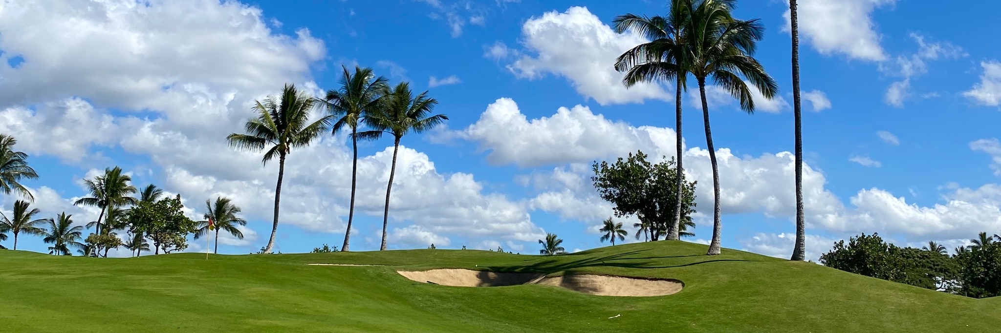 なつぞら』千夏ちゃん＆優ちゃん＆雪見くん 子役集合ショットに反響「か、可愛い〜！」 - エンタメ - ニュース クランクイン