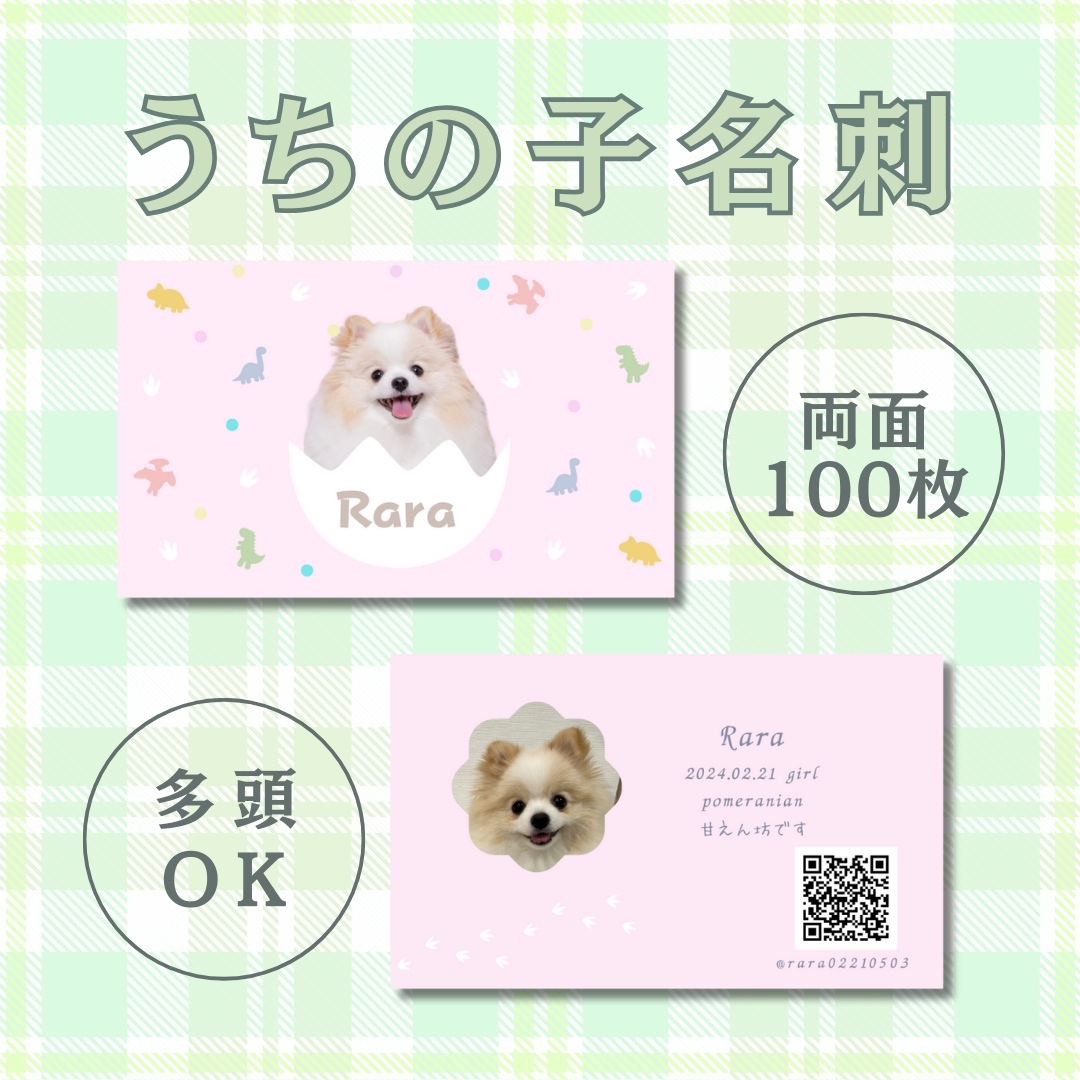 両面100枚 2匹用多頭飼い 2頭 犬名刺 猫名刺 ペット名刺 うちの子名刺 名刺入れ 名刺ケース カード オーダーメイド オリジナル親バカグッズ うちの子グッズ 犬用 猫用 ペット用opg1