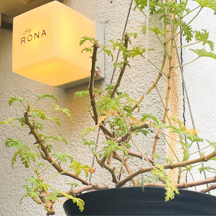 手土産としても喜ばれること間違いなし♪ 松陰神社前のお菓子屋さん メルシーベイクキナリノ